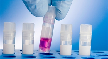 A rack of cryogenic tubes, one containing pink liquid, being held by a blue latex gloved hand, against a blue background.